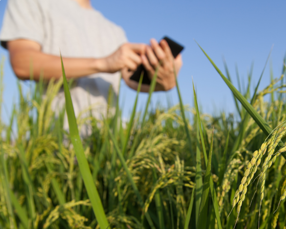 O Impacto do Agronegócio nas Relações Comerciais e Diplomáticas Globais